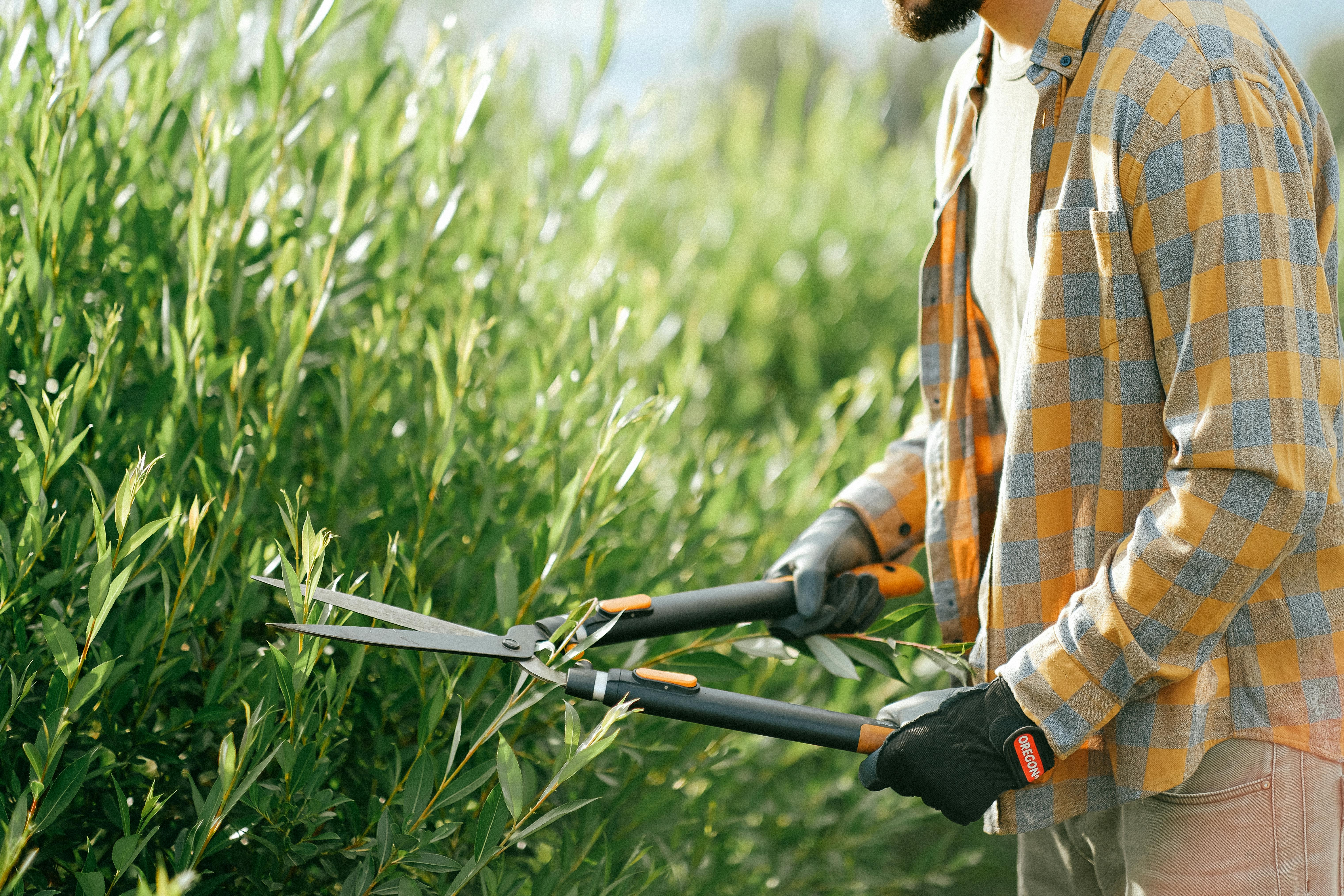 Gardening